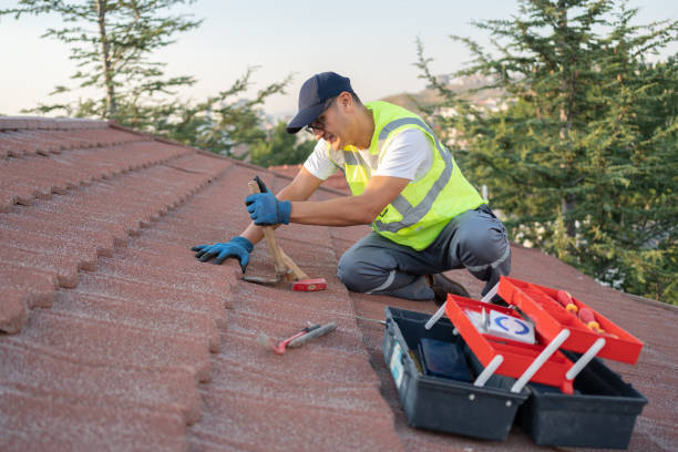 Best Commercial Roofing Services  in Edgewater, FL