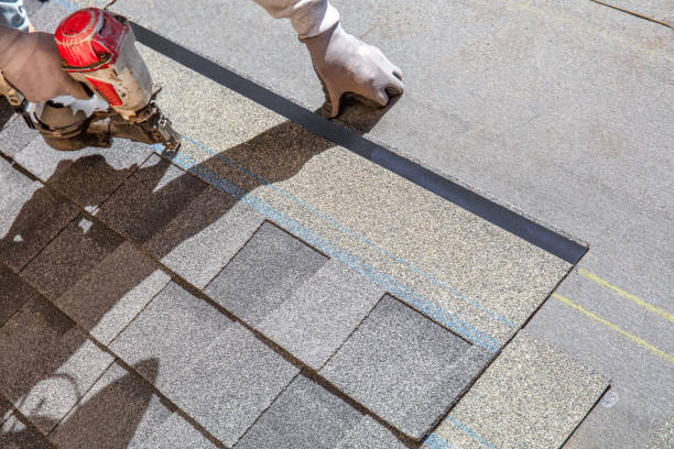 Best Shingle Roofing Installation  in Edgewater, FL